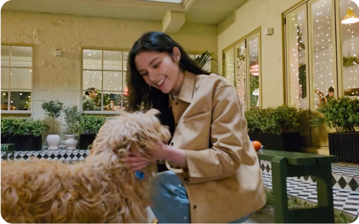 Advanced AI ProVisual Engine