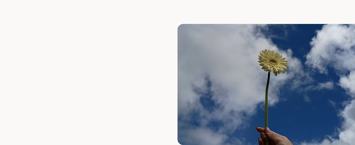 A pale yellow gerbera daisy is held up against a partly cloudy blue sky by a hand with light-colored nail polish.