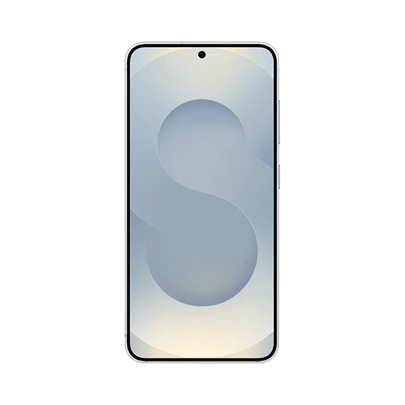 Samsung Galaxy S25 5G Silver Shadow 256GB